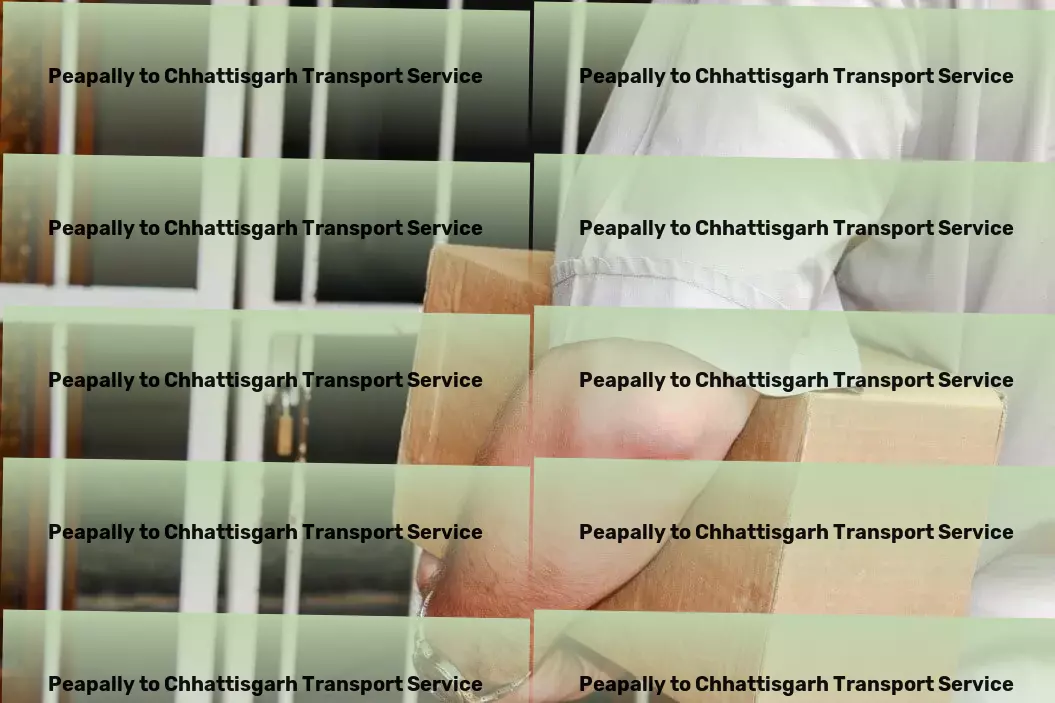 Peapally to Chhattisgarh Transport Advanced parcel delivery