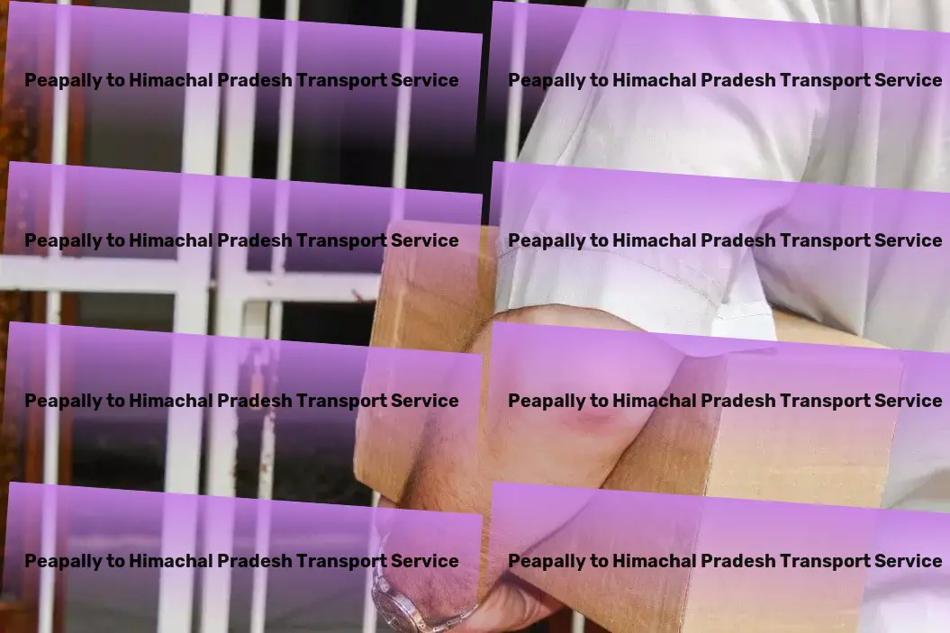 Peapally to Himachal Pradesh Transport Professional transporter services