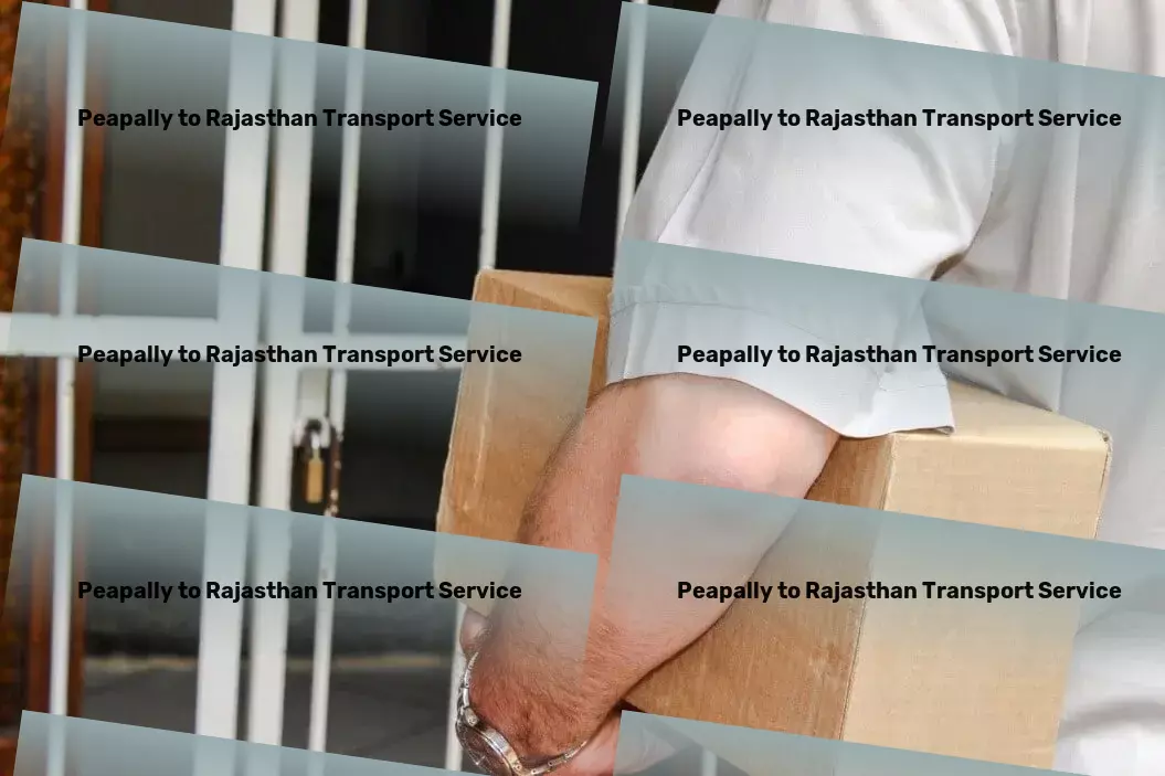 Peapally to Rajasthan Transport Dedicated freight services