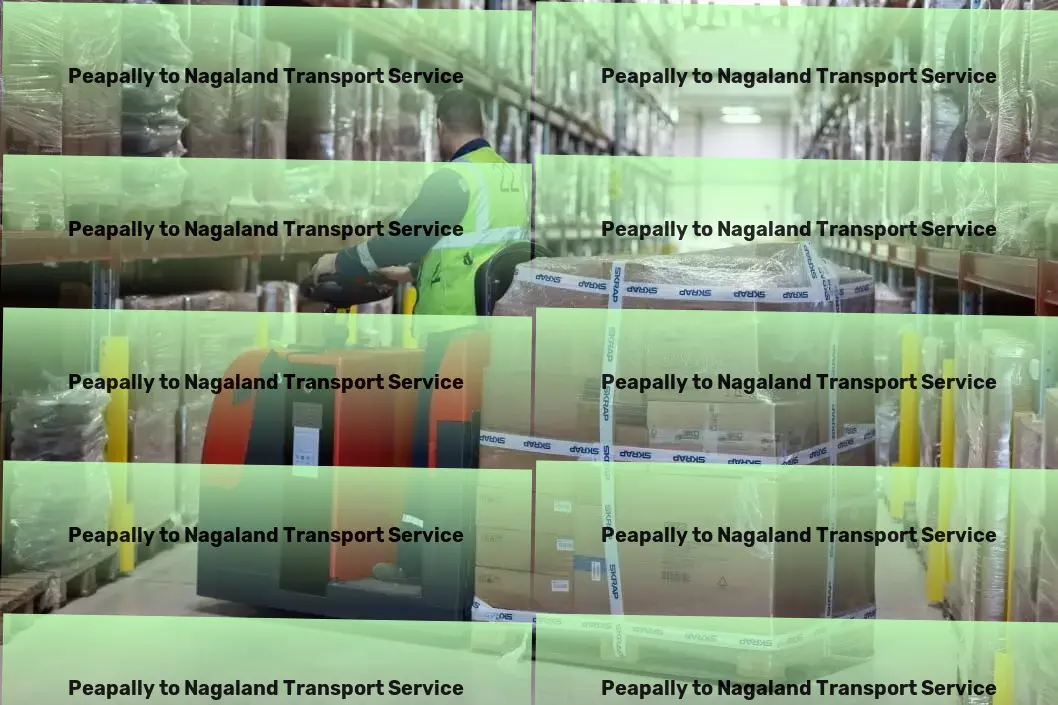 Peapally to Nagaland Transport The gold standard of transportation services within India! - Express parcel delivery