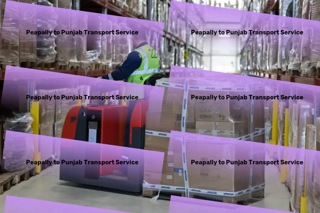 Peapally to Punjab Transport Leading the charge for a better logistics future in India. - Tailored logistics services