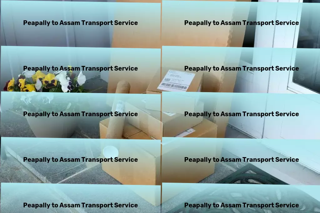 Peapally to Assam Transport A vision for a smoother transport landscape across India. - Nationwide goods logistics