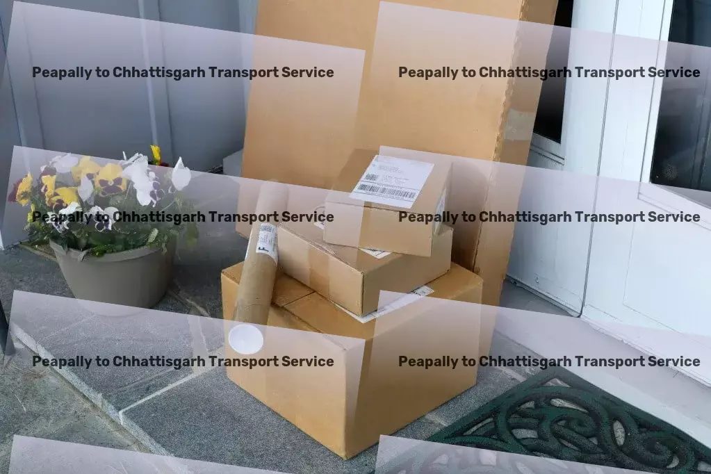 Peapally to Chhattisgarh Transport Heavy load logistics services