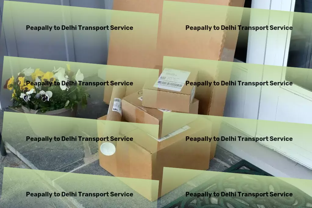 Peapally to Delhi Transport Streamline your daily tasks with smart technology! - National transport operations