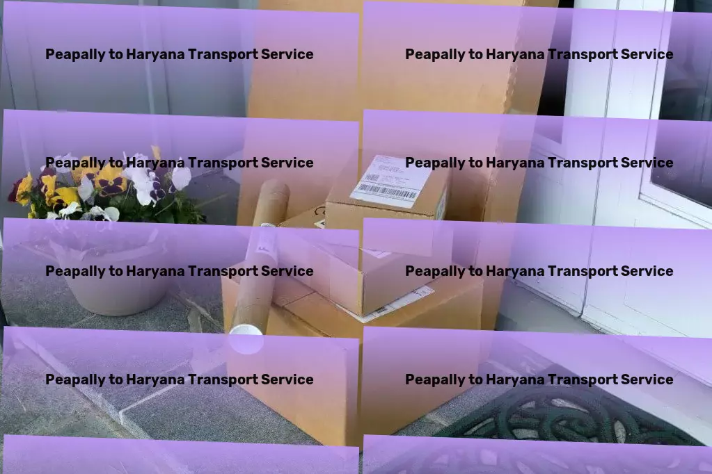 Peapally to Haryana Transport Effortless logistics solutions within reach in India! - Advanced freight logistics