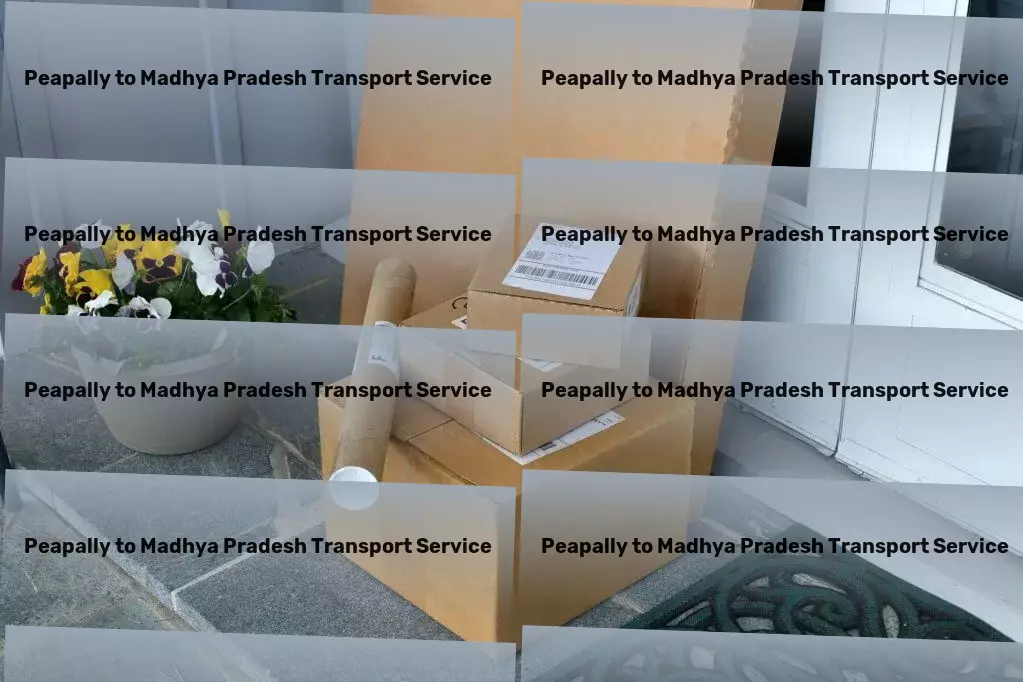 Peapally to Madhya Pradesh Transport Pioneering change in the travel industry for you! - City-to-city freight forwarding