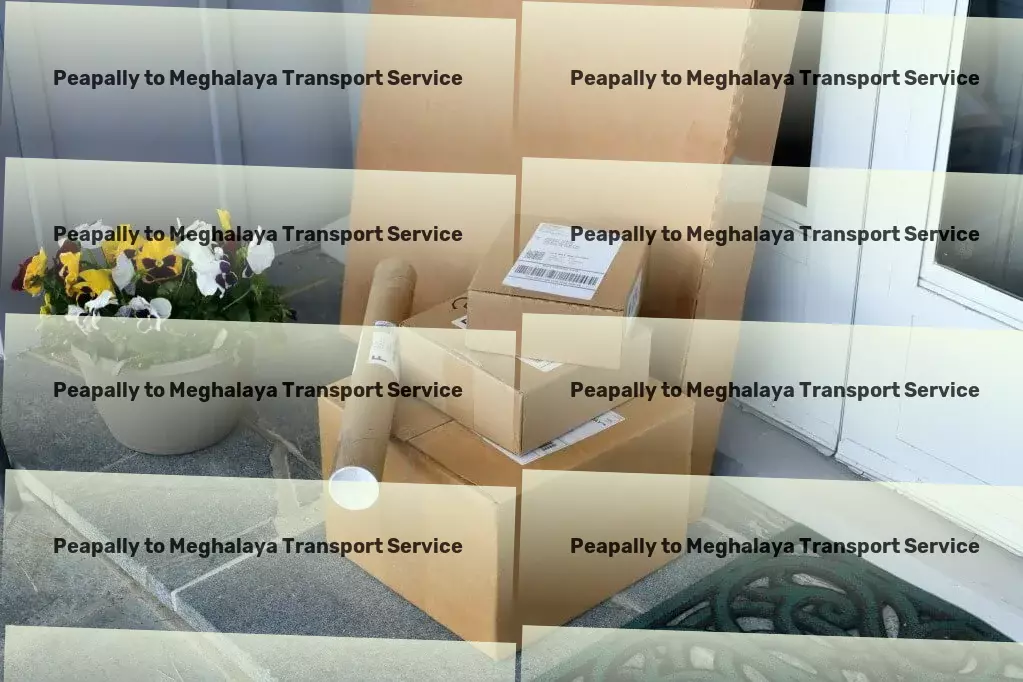 Peapally to Meghalaya Transport Tailored logistics strategies for impactful shipping in India! - Door-to-door logistics