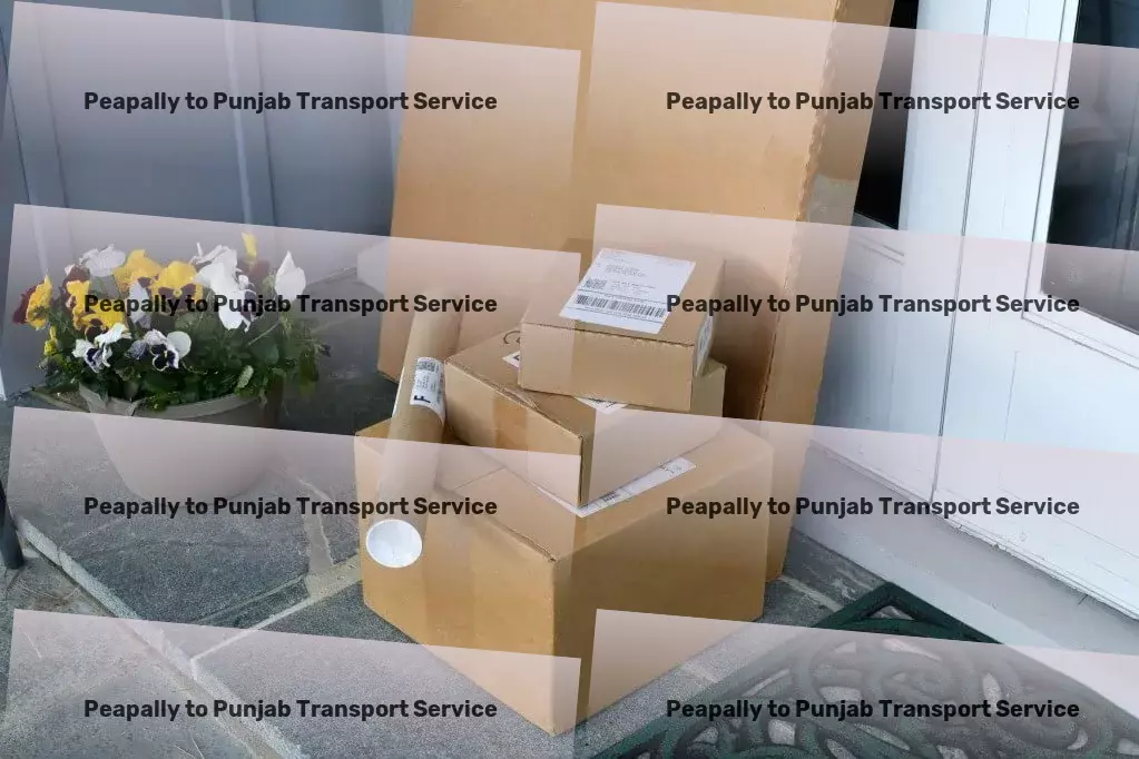 Peapally to Punjab Transport Rapid cargo solutions