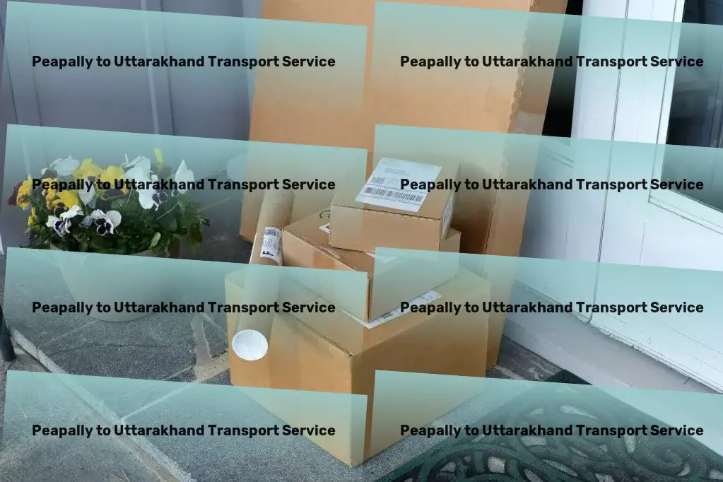 Peapally to Uttarakhand Transport Long-haul package delivery