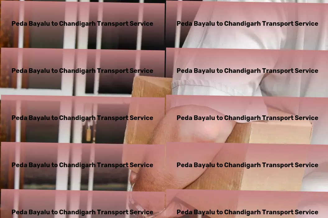 Peda Bayalu to Chandigarh Transport Logistics services