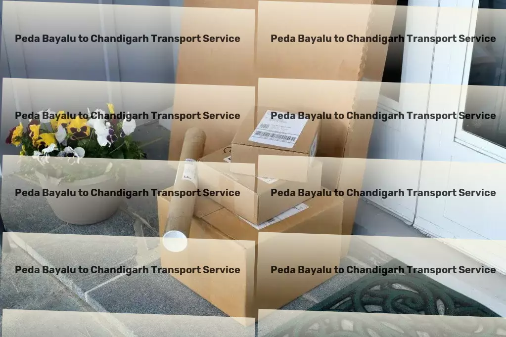 Peda Bayalu to Chandigarh Transport Advanced freight solutions