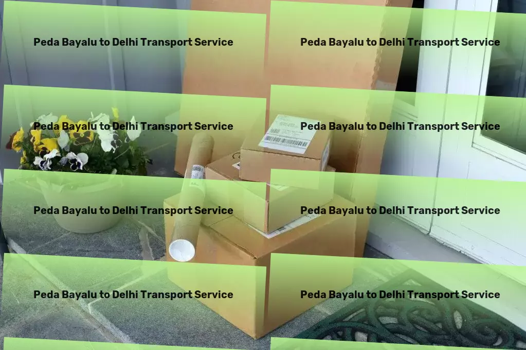 Peda Bayalu to Delhi Transport Comprehensive cargo shipment