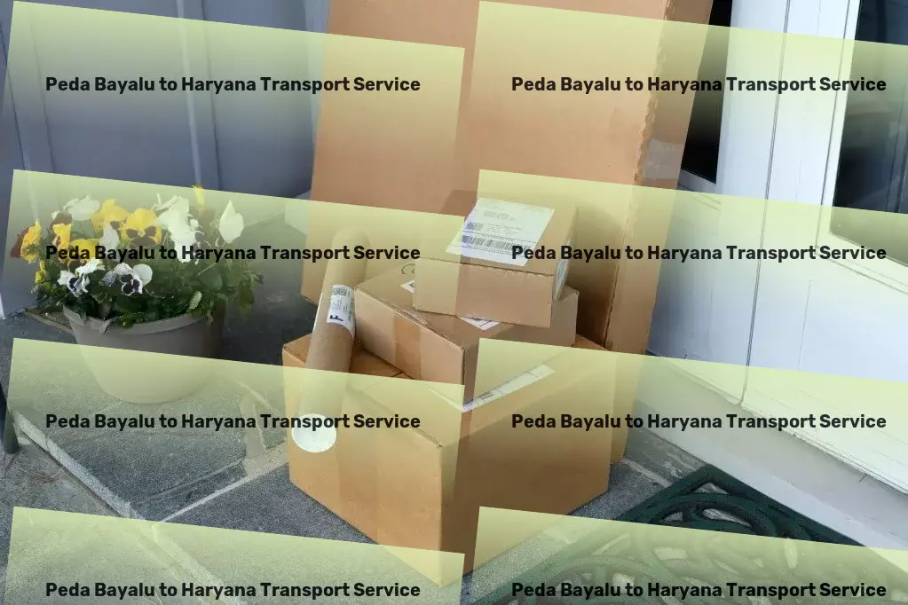 Peda Bayalu to Haryana Transport High-value cargo transport