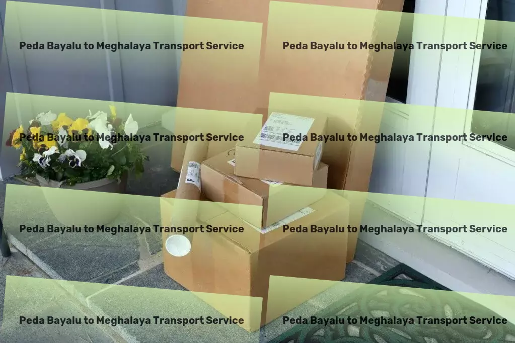 Peda Bayalu to Meghalaya Transport Nationwide package forwarding