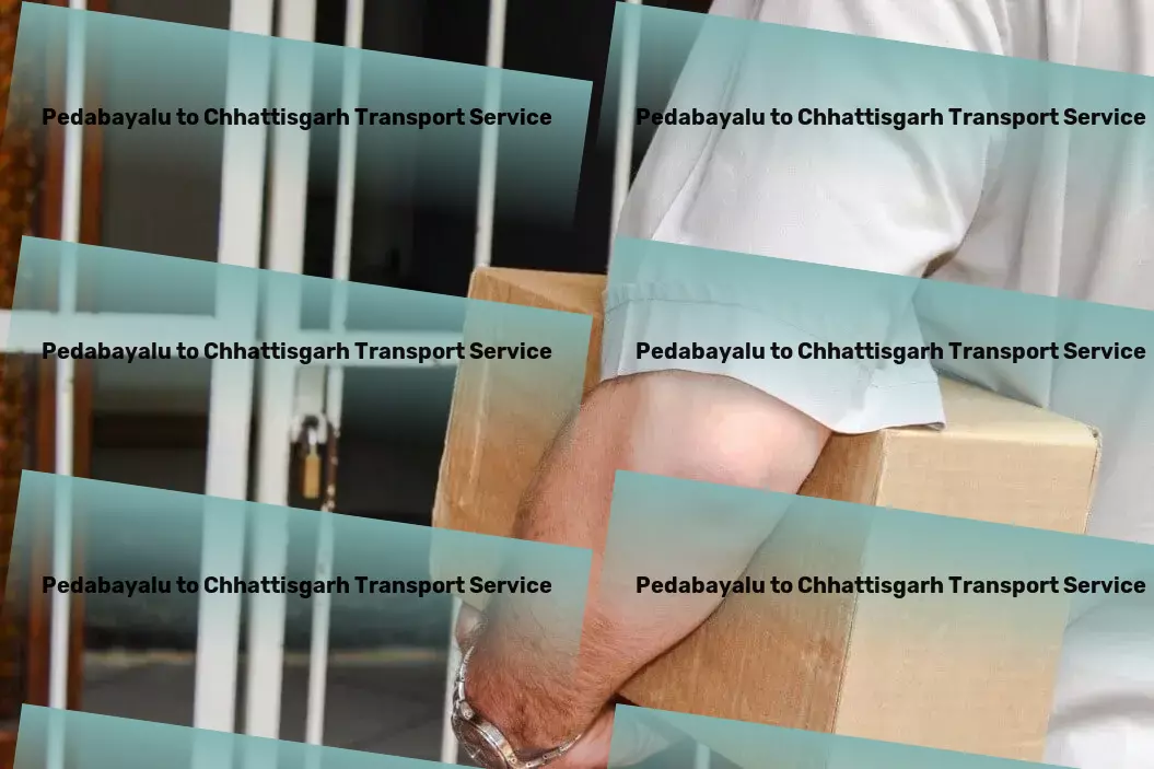 Pedabayalu to Chhattisgarh Transport Rapid freight solutions