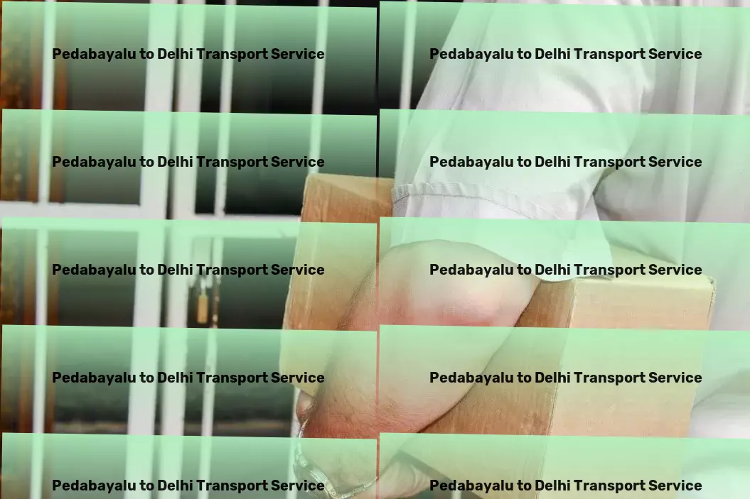 Pedabayalu to Delhi Transport The future of transport logistics in India starts here! - Citywide courier operations