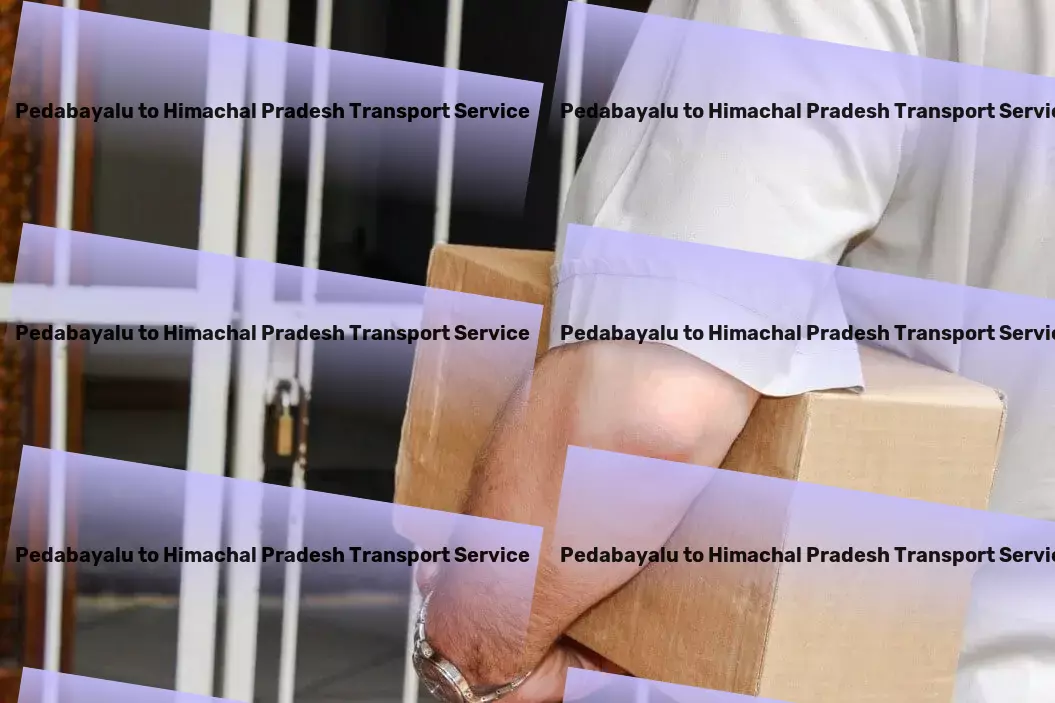 Pedabayalu to Himachal Pradesh Transport Explore the wonders of the universe from your home! - High-speed freight services