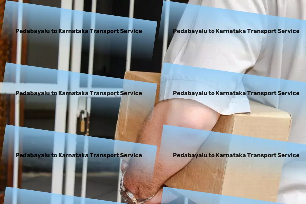 Pedabayalu to Karnataka Transport Tailored to fit: Transport solutions that understand India. - Nationwide distribution services