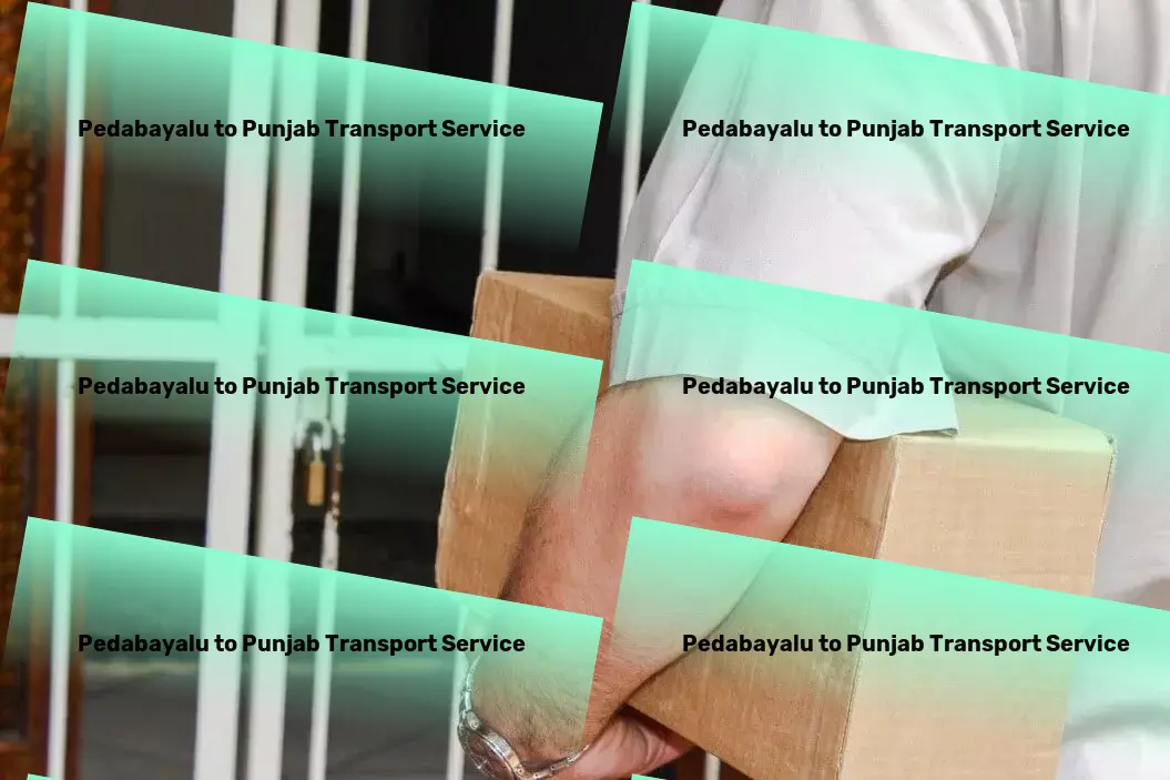 Pedabayalu to Punjab Transport Supply chain management