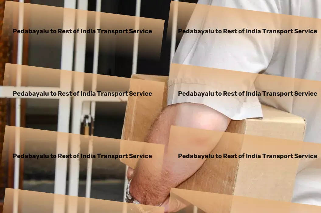 Pedabayalu to Rest Of India Transport Revolutionize your health with cutting-edge solutions! - Local logistics solutions