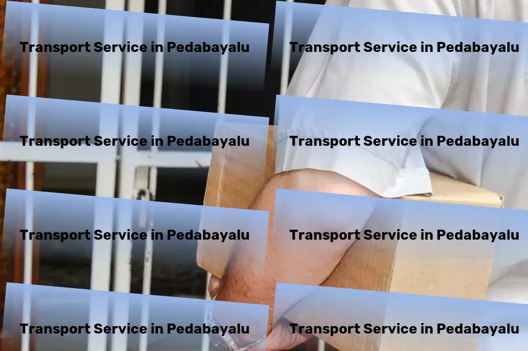 Transport in Pedabayalu, Andhra Pradesh (AP) Full-load goods services