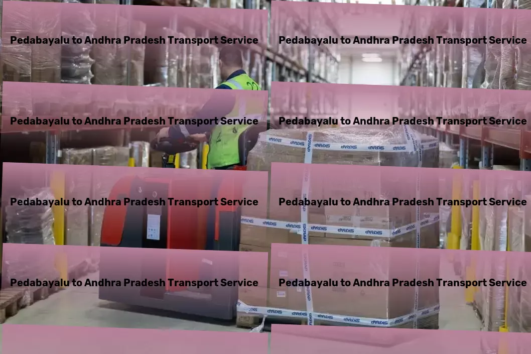 Pedabayalu to Andhra Pradesh Transport Fast freight and shipment services