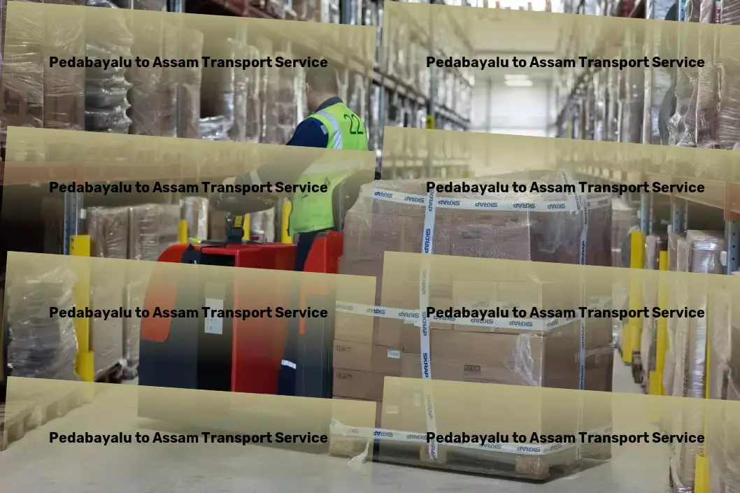 Pedabayalu to Assam Transport Transport solutions that fit your Indian logistics puzzle! - Integrated transport services