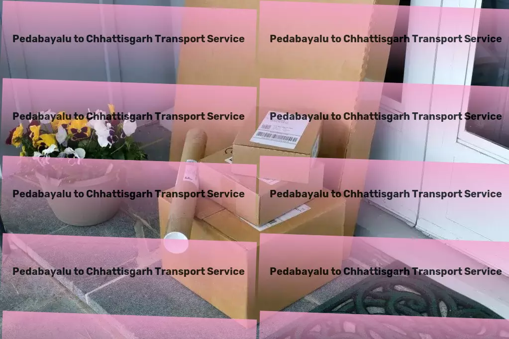 Pedabayalu to Chhattisgarh Transport Pioneering change in the travel industry for you! - Full truckload movers