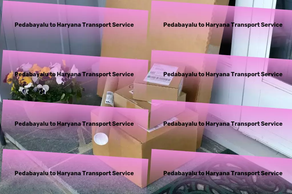 Pedabayalu to Haryana Transport Transform your journey experience with our innovative approach! - Advanced cargo solutions