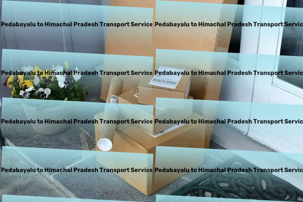 Pedabayalu to Himachal Pradesh Transport Local heavy load shipping