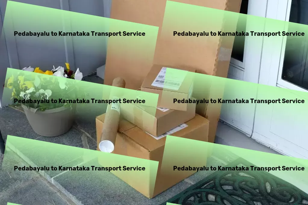 Pedabayalu to Karnataka Transport Nationwide parcel transport