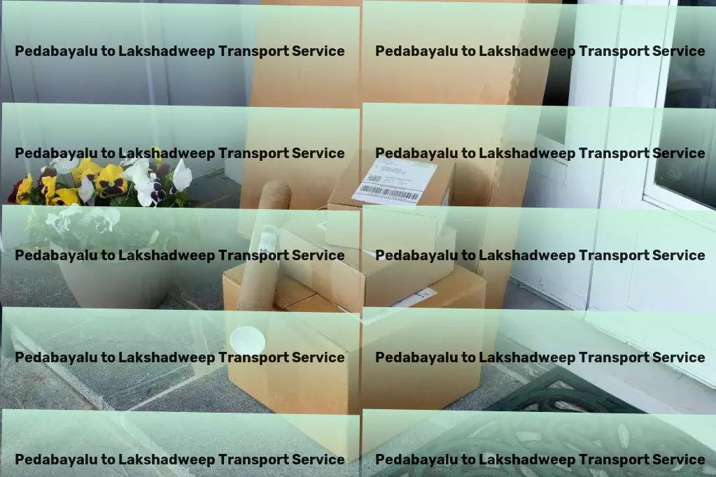 Pedabayalu to Lakshadweep Transport The joy of home gardening made simple for you! - Comprehensive courier services