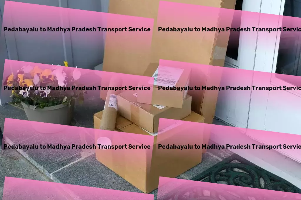 Pedabayalu to Madhya Pradesh Transport Customized goods transport