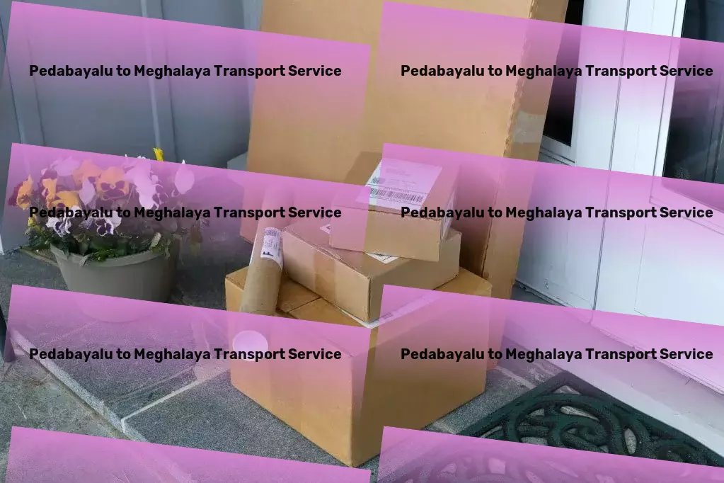 Pedabayalu to Meghalaya Transport Comprehensive moving solutions