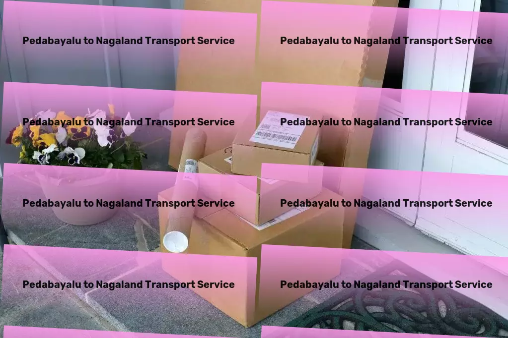 Pedabayalu to Nagaland Transport A seamless transport experience across the vastness of India. - Local parcel delivery