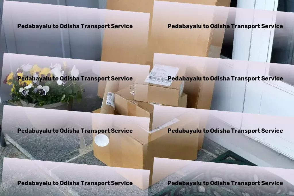 Pedabayalu to Odisha Transport Navigate India's transportation landscape with ease and reliability! - Comprehensive cargo logistics