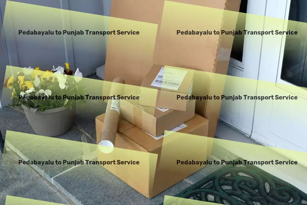 Pedabayalu to Punjab Transport Empower your supply chain with our Indian logistics services! - Advanced package forwarding