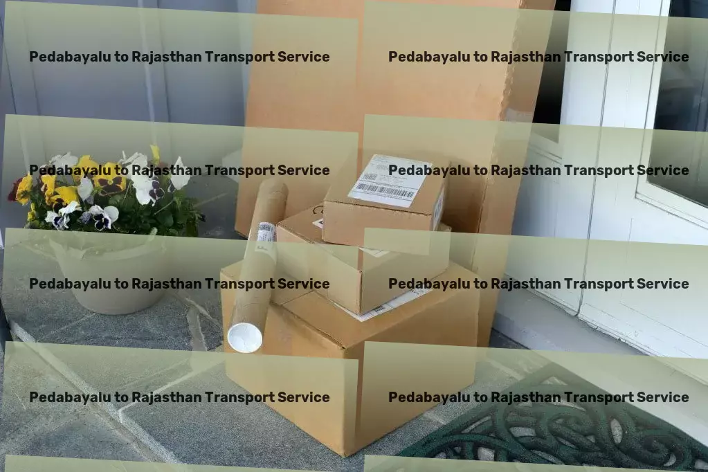 Pedabayalu to Rajasthan Transport Customized truckload shipping