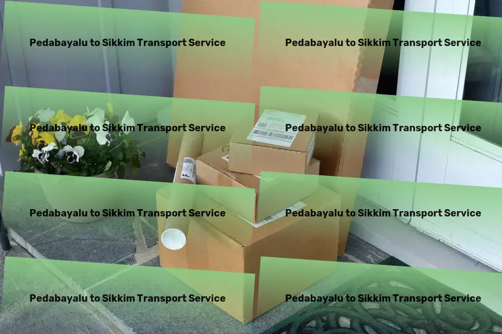 Pedabayalu to Sikkim Transport Citywide goods logistics