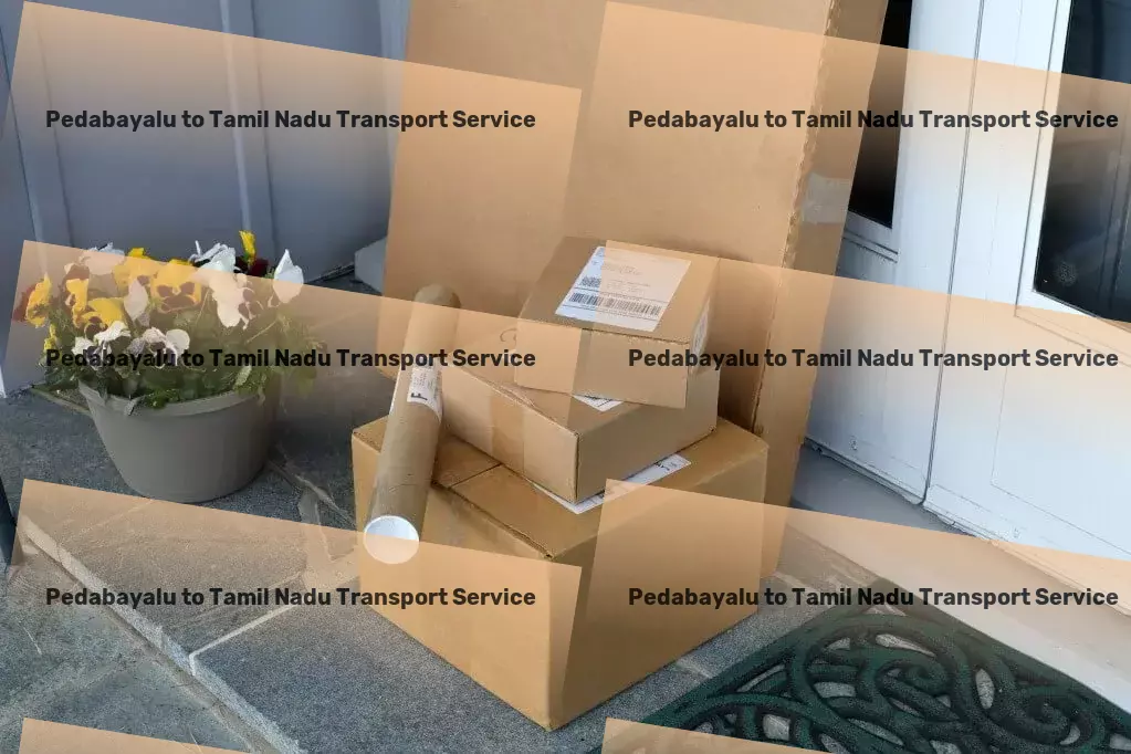 Pedabayalu to Tamil Nadu Transport Boost your knowledge with fun, educational content! - Multi-regional cargo transport