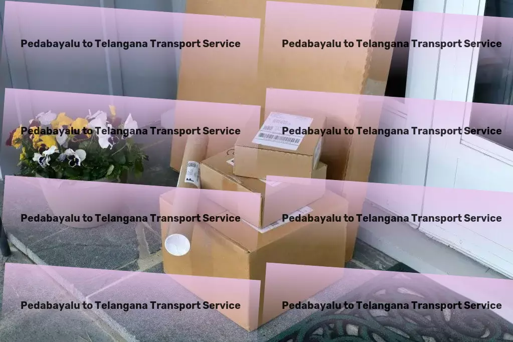 Pedabayalu to Telangana Transport Efficient freight forwarding