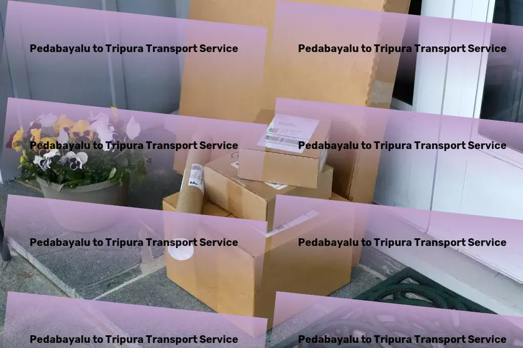 Pedabayalu to Tripura Transport Customized logistics strategies for India's unique challenges - Multi-regional goods services