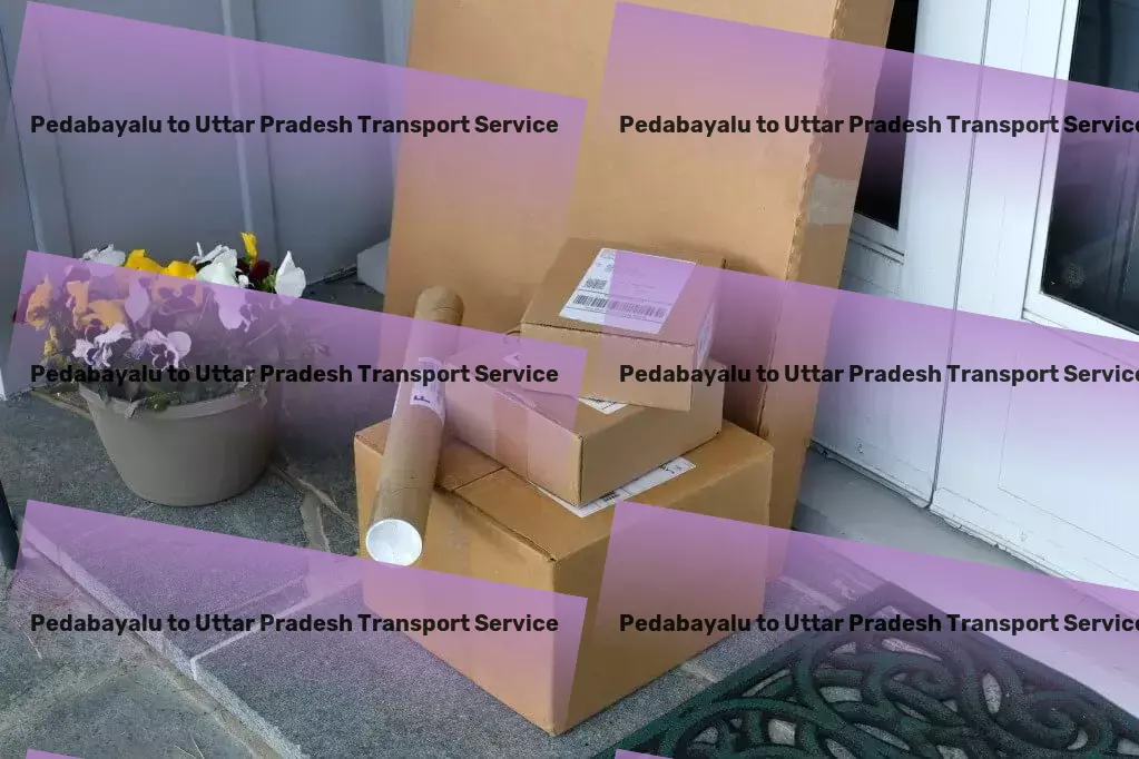 Pedabayalu to Uttar Pradesh Transport International courier services