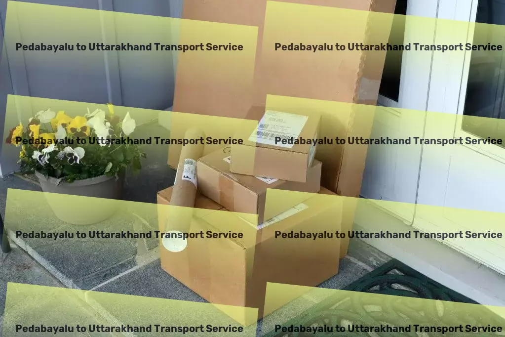 Pedabayalu to Uttarakhand Transport Quick courier dispatch