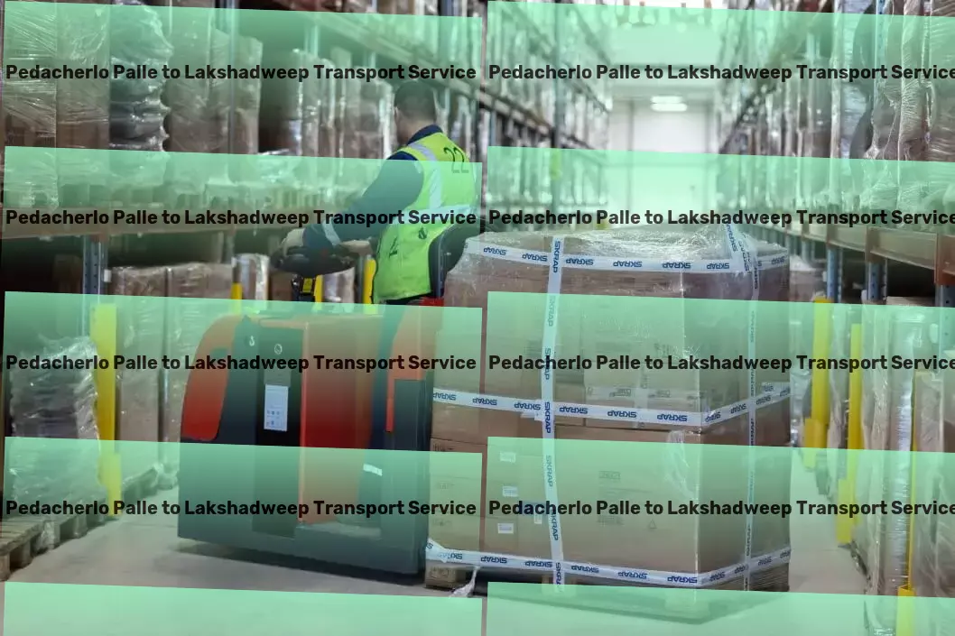 Pedacherlo Palle to Lakshadweep Transport Door-to-door delivery services