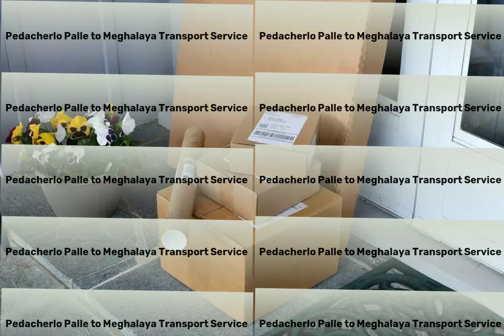 Pedacherlo Palle to Meghalaya Transport Commercial goods transport