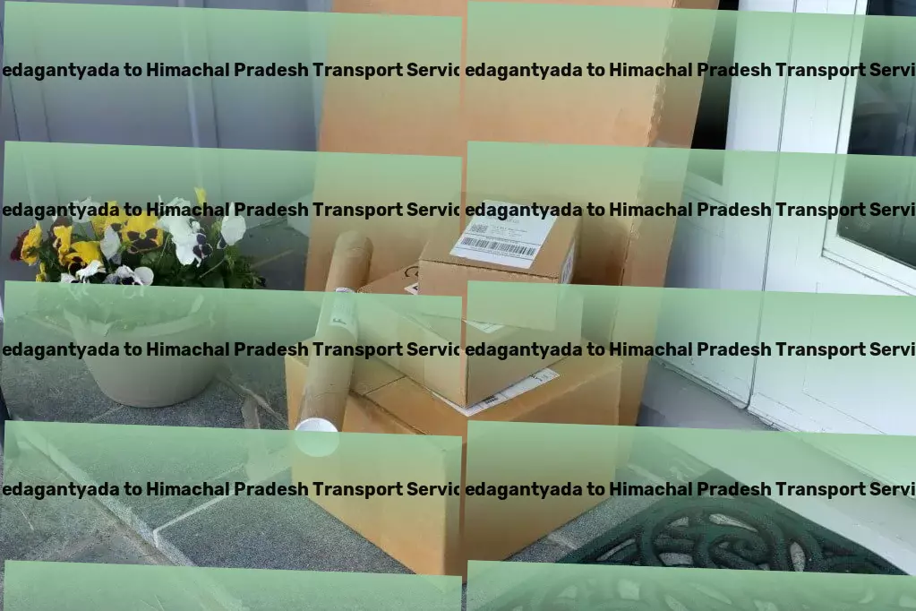 Pedagantyada to Himachal Pradesh Transport Ensuring timely delivery and safety of your goods in India! - Road-based transport solutions