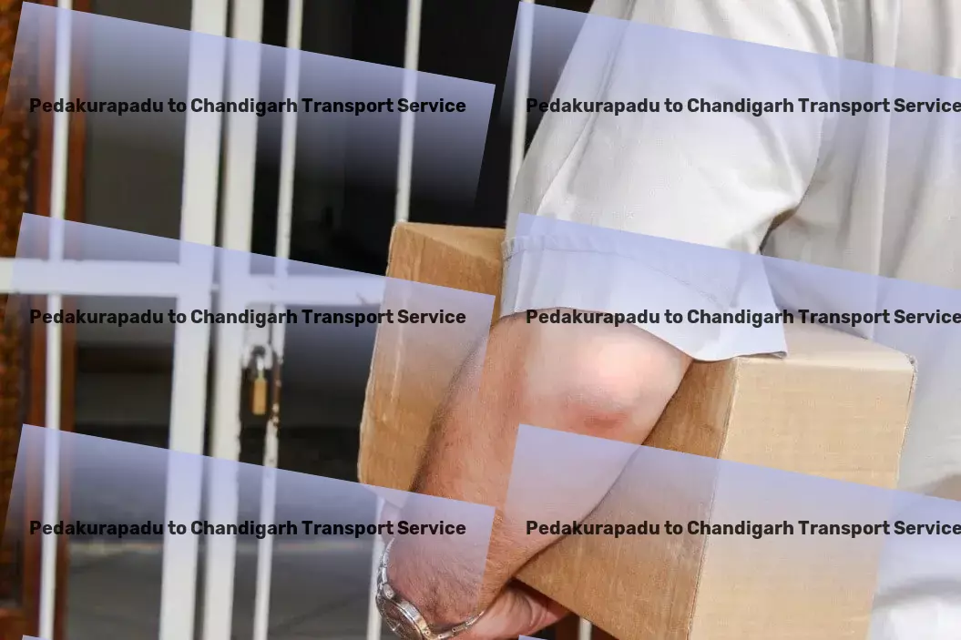 Pedakurapadu to Chandigarh Transport Specialized transport operations