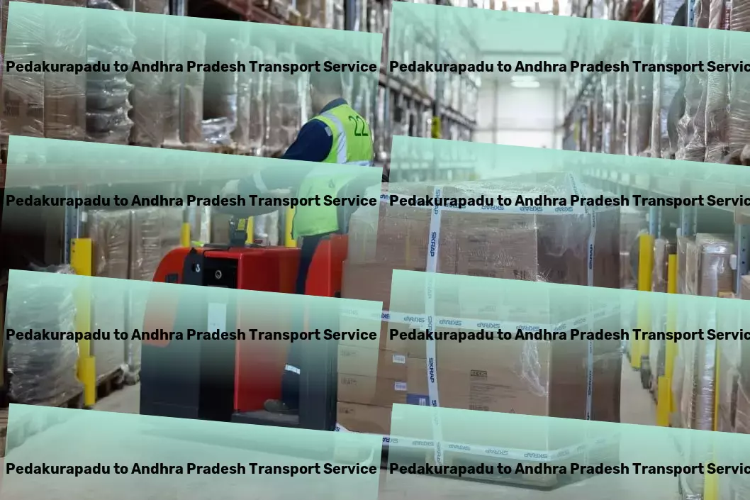 Pedakurapadu to Andhra Pradesh Transport Professional moving services