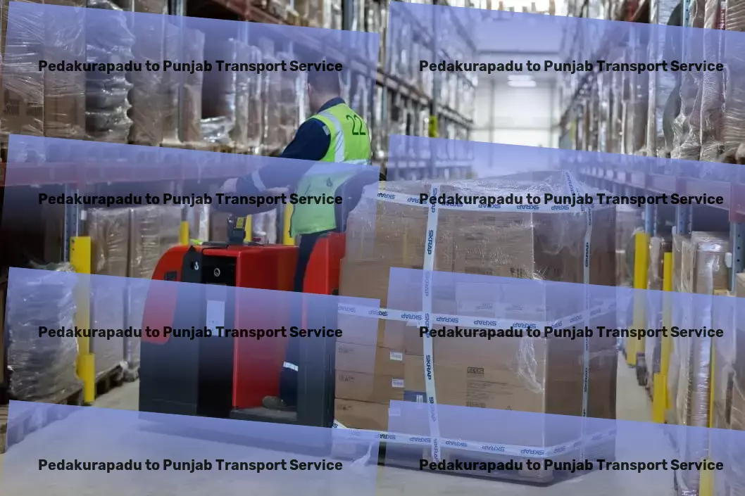 Pedakurapadu to Punjab Transport Local shipping solutions